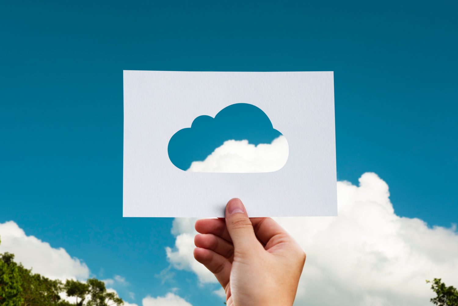 Neue Studie zeigt, dass die Cloud für Retailer unabdingbar ist