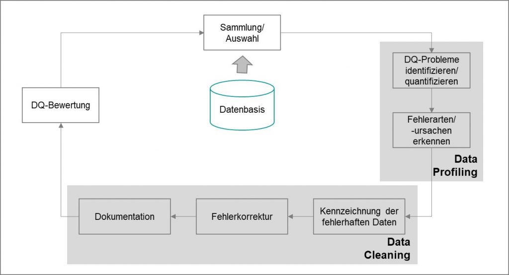 Bild 4 Data Profiling und Data Cleaning Prozess