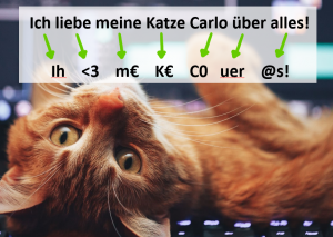 Cyber Security Passphrase mit Katze_Valery Kudryavtsev überarbeitet von Moritz Meissner