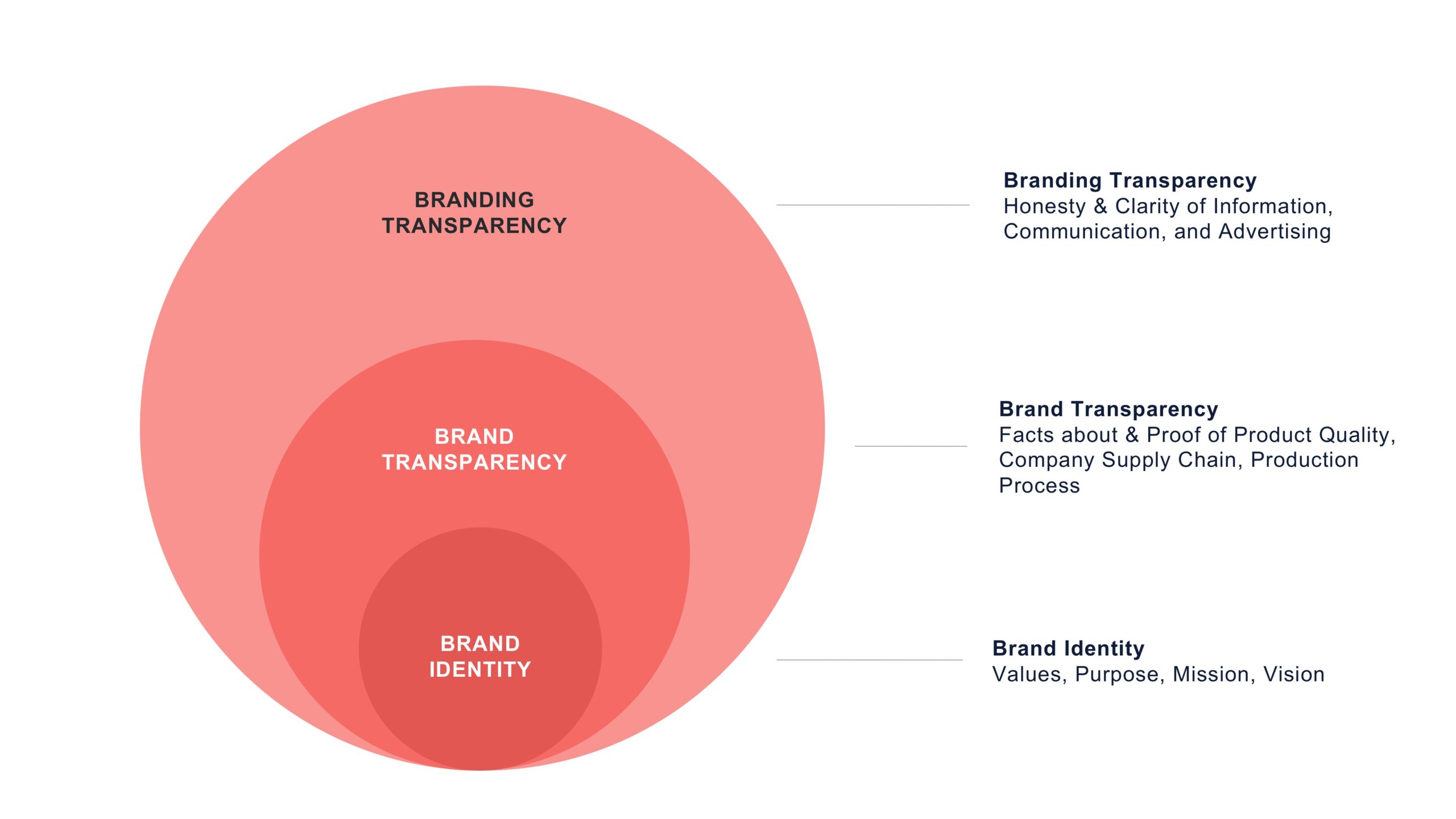 Transparency is the new currency for brand trust 1 The brand as a transparency system – honesty, openness, and clarity create trusting customer relationships.